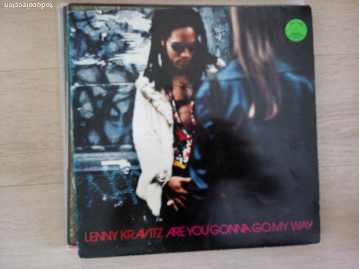 Discos de vinilo: Lenny Kravitz - Are You Gonna Go My Way (LP, Album) 1993 CON INSERTO