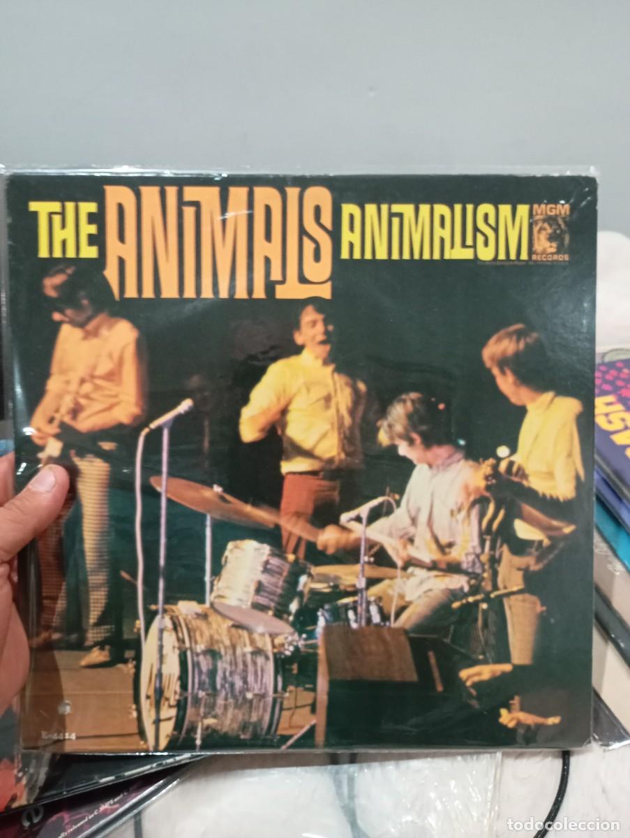 Discos de vinilo: LP ORIG USA 1966 THE ANIMALS ANIMALISM VG++