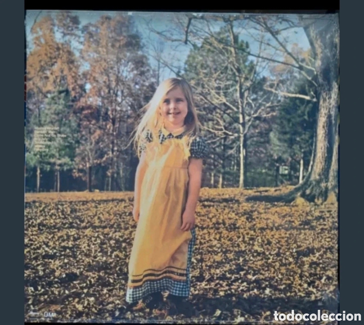 Discos de vinilo: The Allman Brothers Band- Brother And Lp 2023