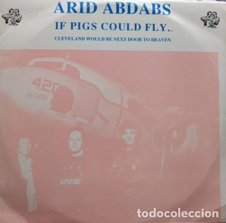 Discos de vinilo: L-1379 RRR TRIPLE LP VINILO 1978 - PINK FLOYD ARID ABDABS If Pigs Could Fly ROCKWELL & GOOD