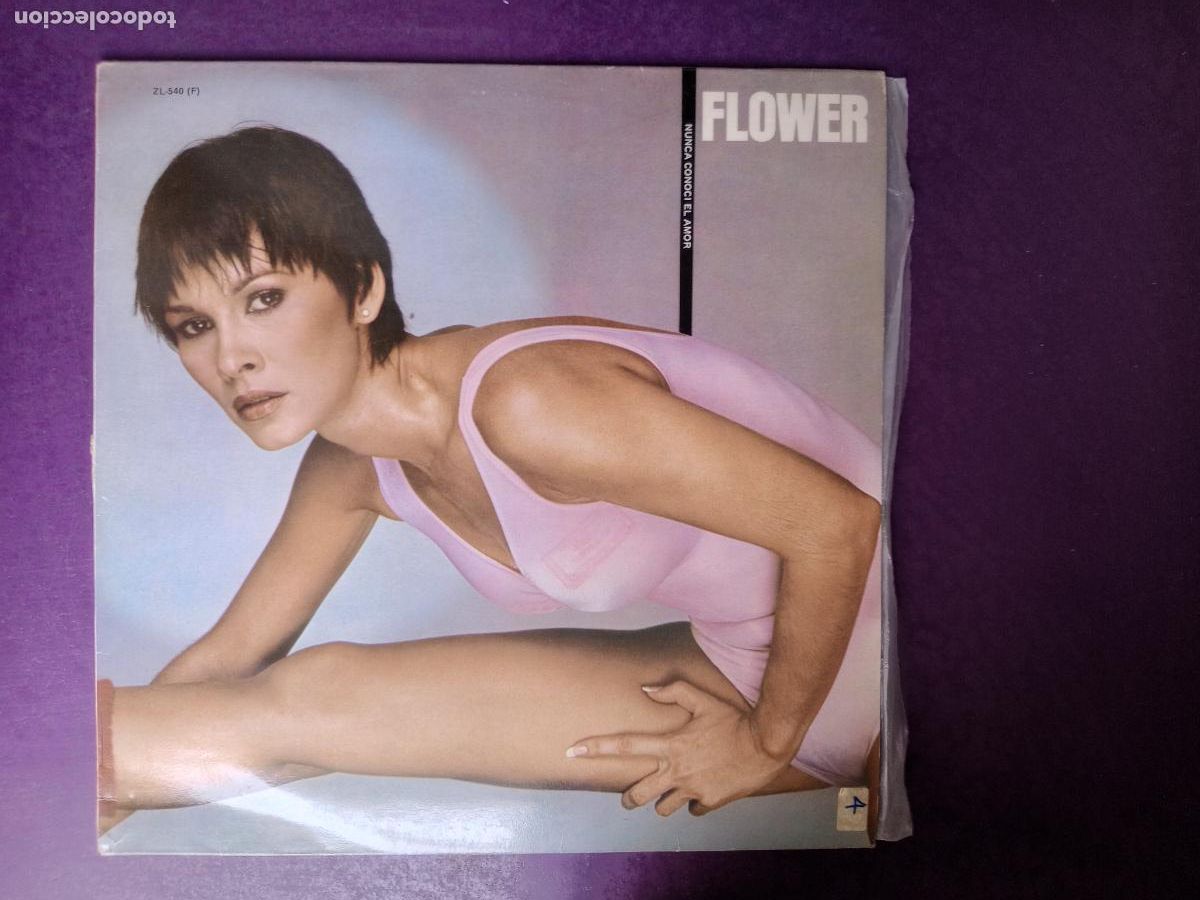 Discos de vinil: Flower &lrm;&ndash; Nunca Conoci El Amor - LP ZAFIRO 1981 - DISCO ELECTRONICA POP 80'S