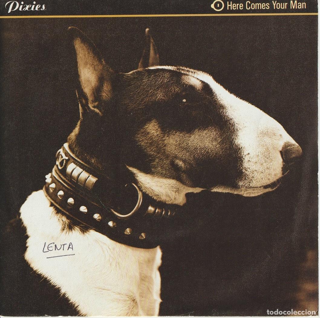 Discos de vinilo: Pixies &ndash; Here Comes Your Man - Foto 1
