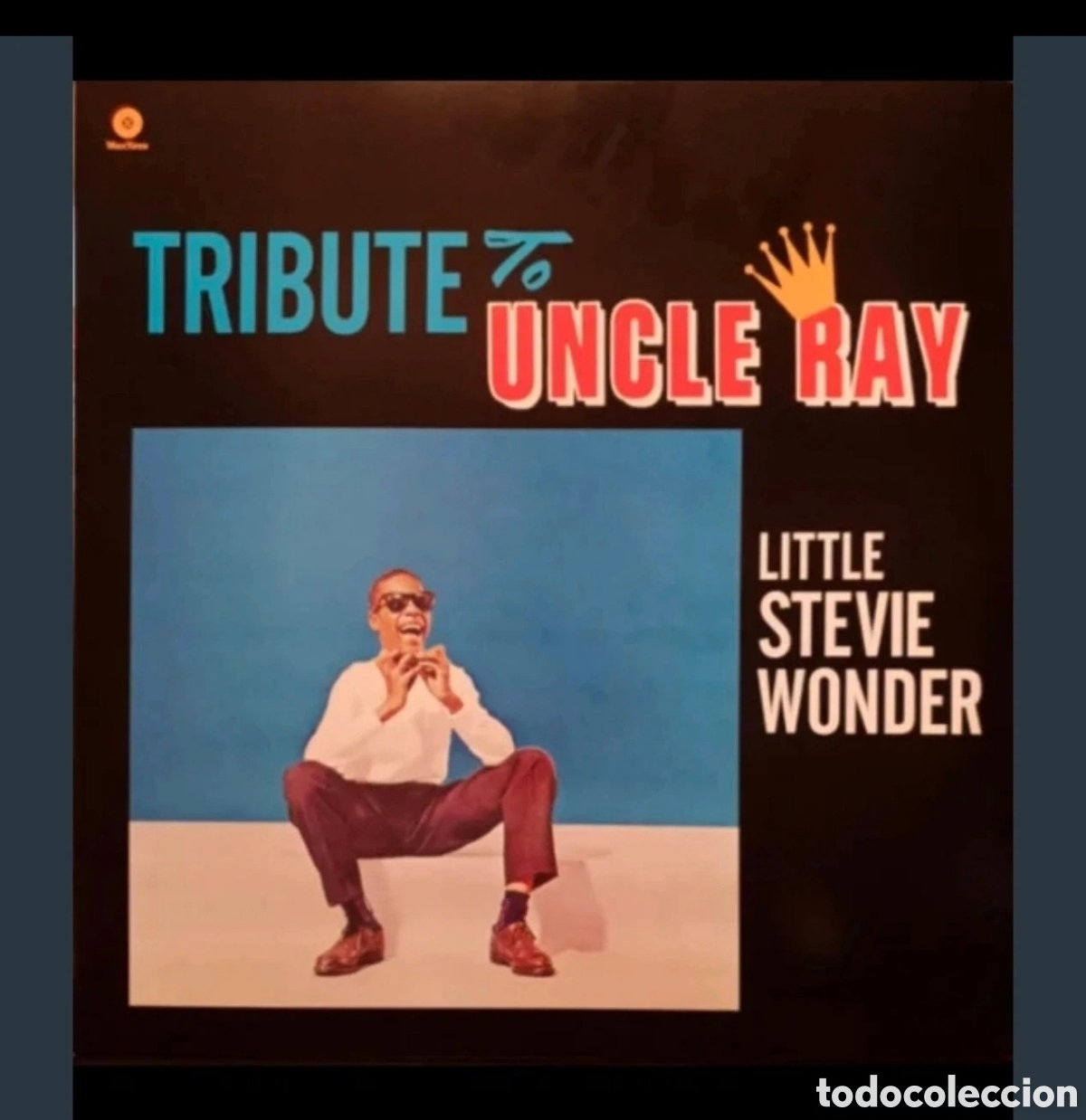 Discos de vinilo: Steve Wonder Little-Tribute Ray Charles LP