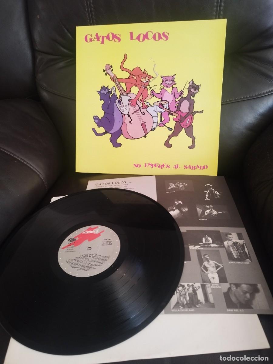 Discos de vinilo: Gatos Locos No Esperes al Sabado. Vinilo lp en muy buen estado.