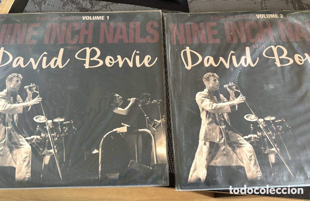 Discos de vinilo: Nine Inch Nails & David Bowie - Back in Anger Vol 1,2