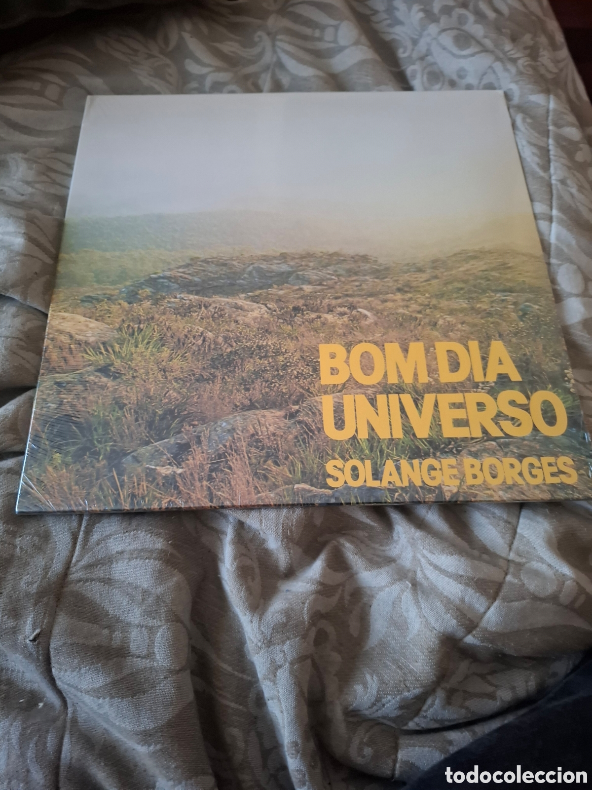 Discos de vinilo: Bom.Dia Universo Solange Borges Brasil. Hermana Lo Borges. Exc estado. Reed