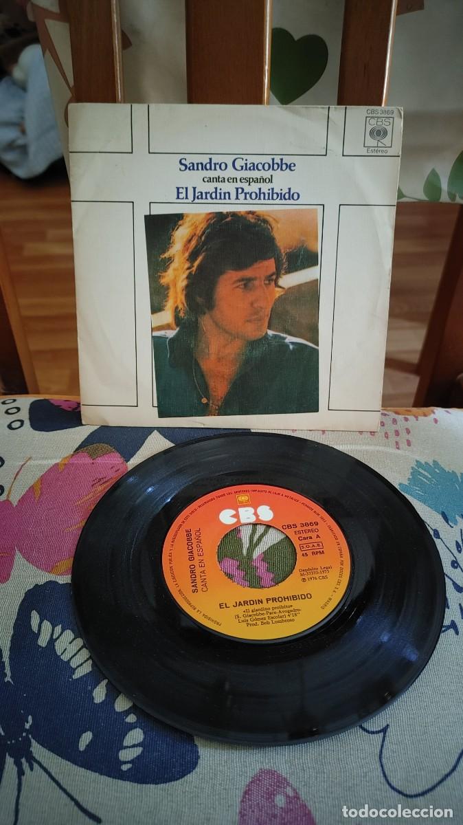 Discos de vinilo: SANDRO GIACOBBE-SINGLE EL JARDIN PROHIBIDO-EN ESPA&Ntilde;OL