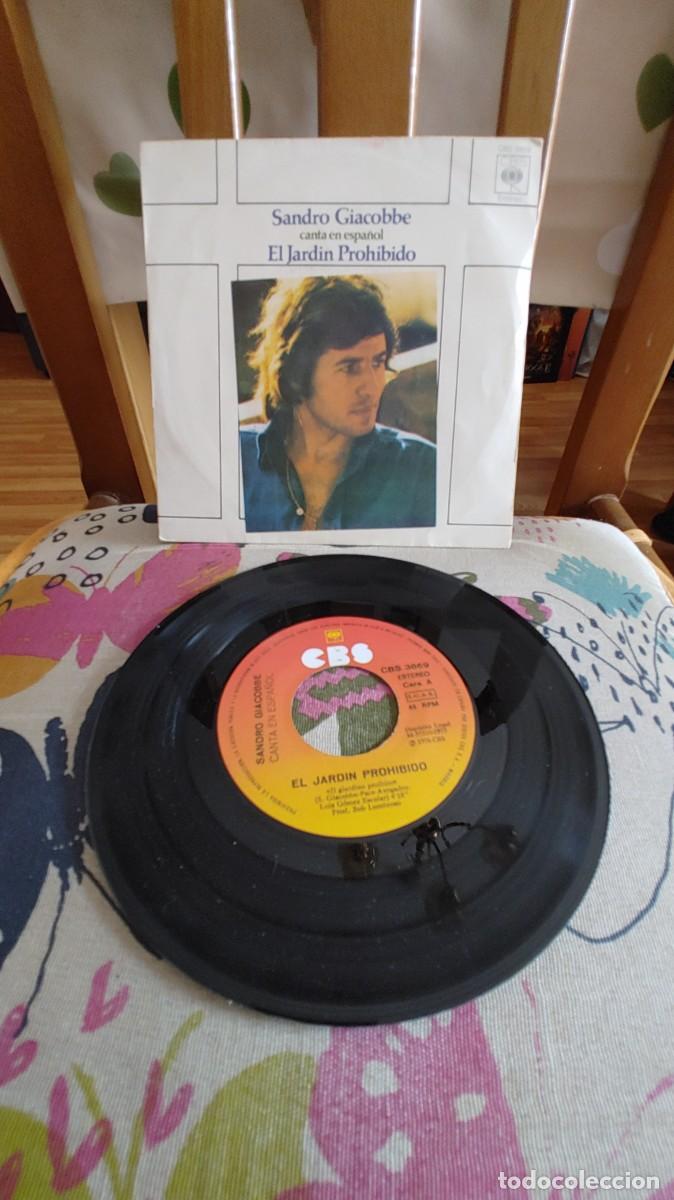 Discos de vinilo: SANDRO GIACOBBE-SINGLE EL JARDIN PROHIBIDO-EN ESPA&Ntilde;OL