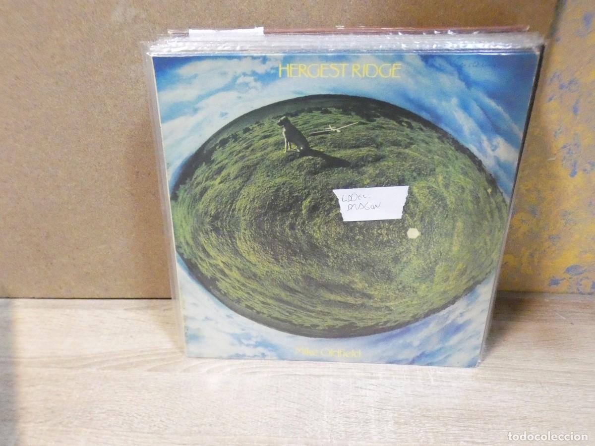 Discos de vinilo: ARKANSAS1980 BOXX739 VINILO BUEN ESTADO MIKE OLDFIELD LABEL DRAGON