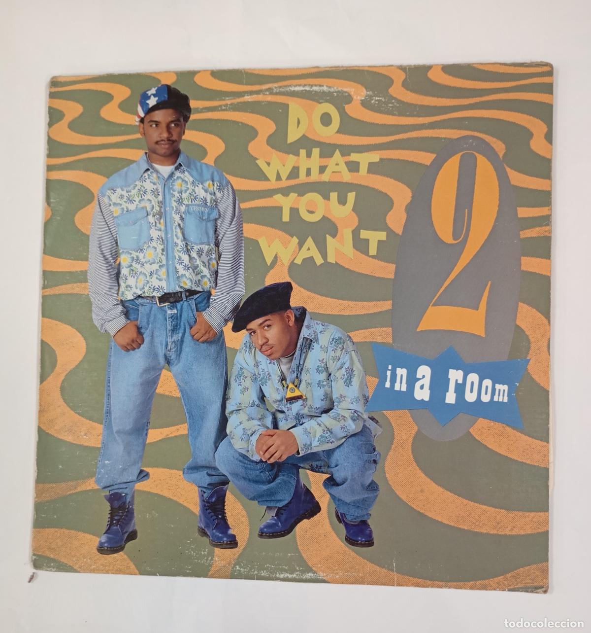 Discos de vinil: Do what you want - 2 in a room? MAXI-SINGLE. TDKDA92