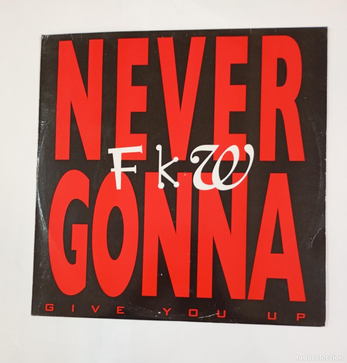 Discos de vinil: NEVER GONNE. GIVE YOU UP. MAXI-SINGLE. TDKDA92