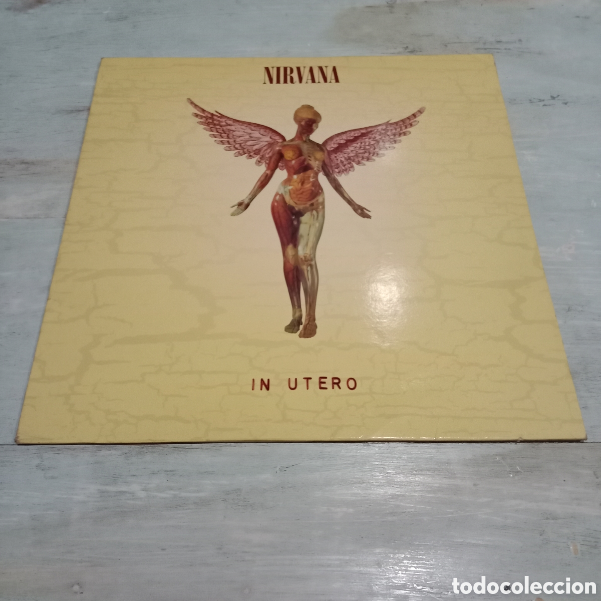 Discos de vinilo: NIRVANA - IN UTERO - LP