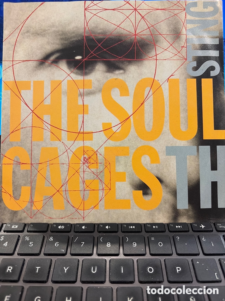 Discos de vinilo: STING - THE SOUL CAGES + WALKING IN YOUR FOOTSTEPS LIVE SINGLE EU