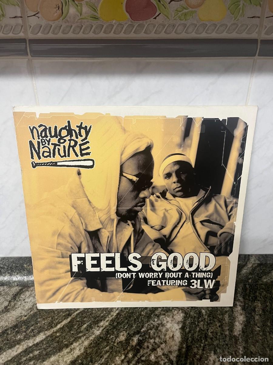 Discos de vinilo: Naughty By Nature Featuring 3LW Feels Good (Don't Worry Bout A Thing)