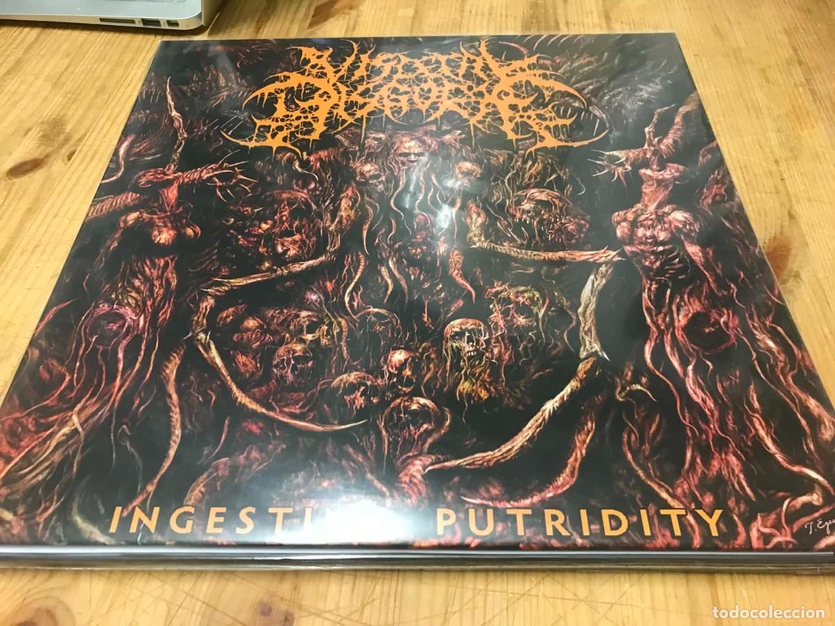 Discos de vinilo: Visceral Disgorge - Ingesting Putridity (LP, Ltd)