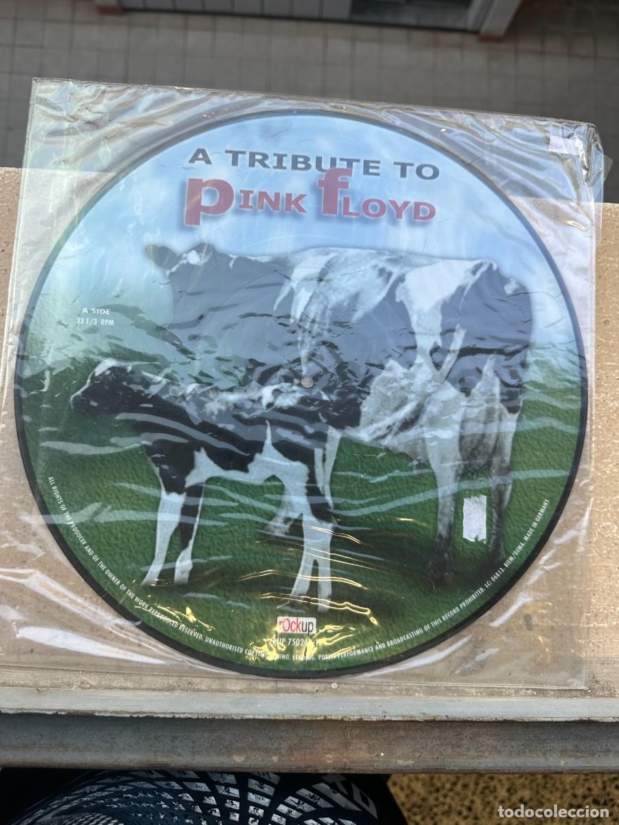 Discos de vinilo: Various - Pink Floyd A Tribute (Picture Disc)