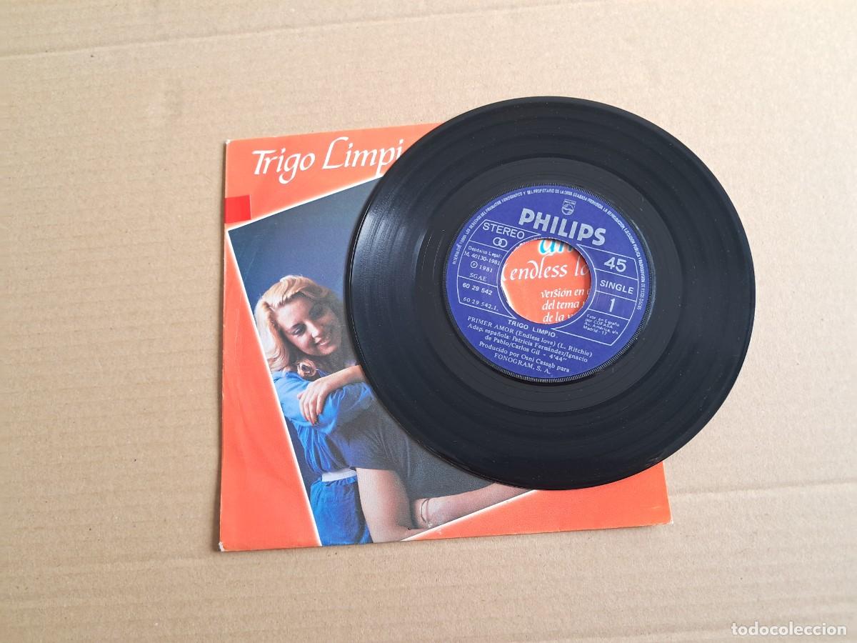 Discos de vinilo: TRIGO LIMPIO - PRIMER AMOR SINGLE 1981 - Foto 2