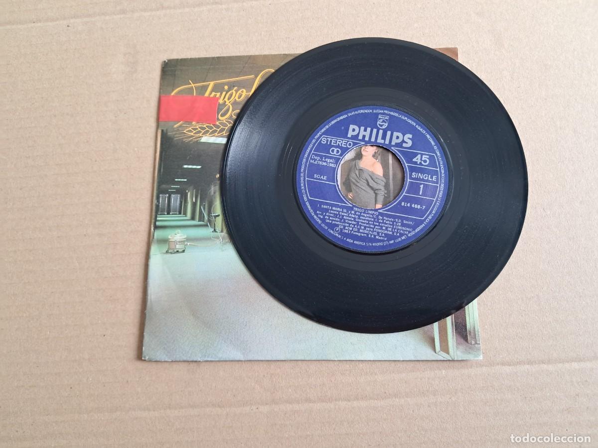 Discos de vinilo: TRIGO LIMPIO - SANTA MARIA SINGLE 1983 - Foto 2