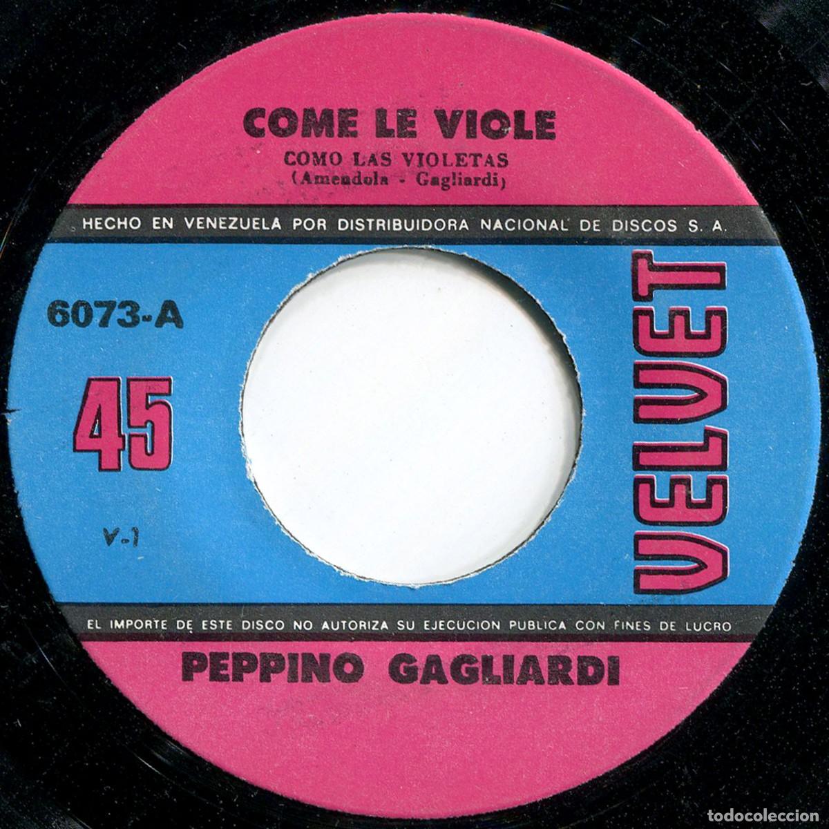 Discos de vinilo: Peppino Gagliardi - Come Le Viole / La Mie Immagine - SG Venezuela 1972 - Velvet 6073 - VG+/VG+