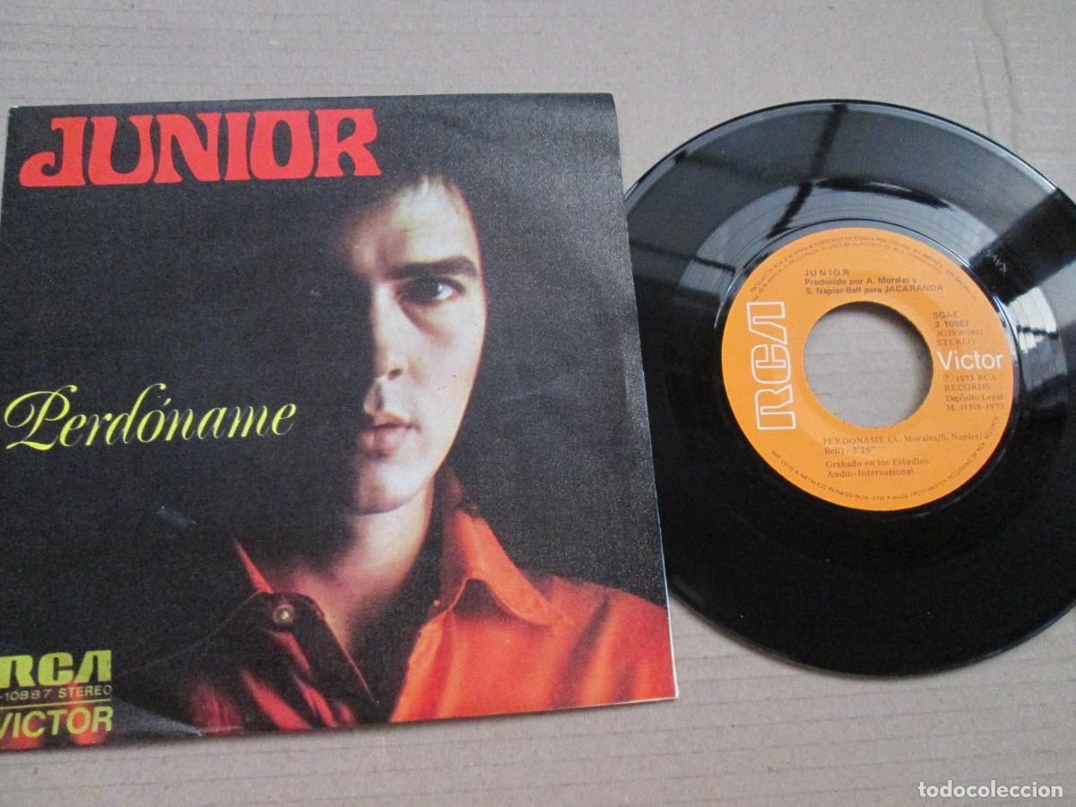 Discos de vinilo: JUNIOR - Perd&oacute;name / The Snake. Single ed espa&ntilde;ola 7&rdquo; 1973. Magn&iacute;fico estado VG+/NM