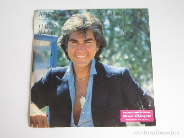 Discos de vinilo: DISCO VINILO Jose Lu&iacute;s Rodriguez - Pavo real / Adivina de donde vengo - Single Ariola 1981