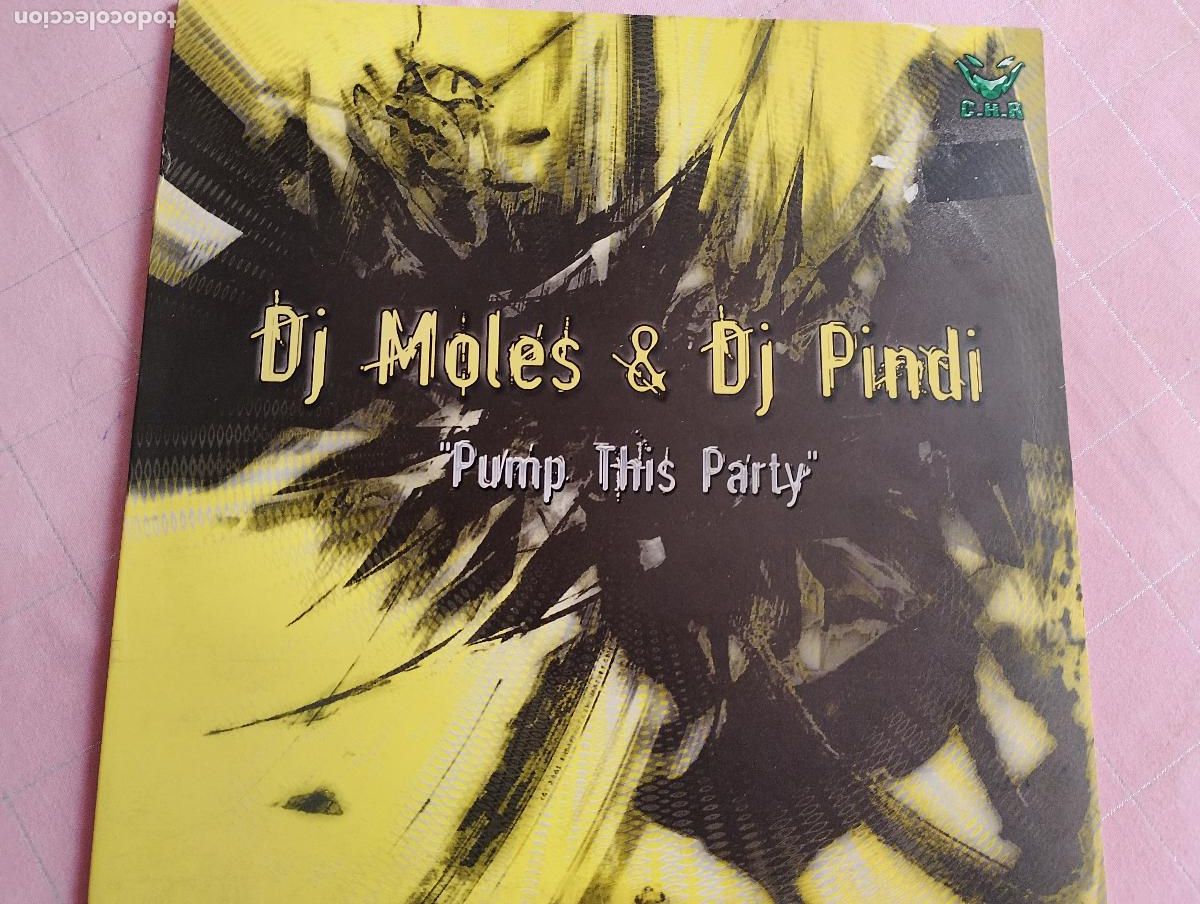 Discos de vinil: DJ Mol&eacute;s & DJ Pindi &ndash; Pump This Party,2005,Electronic,Hard House