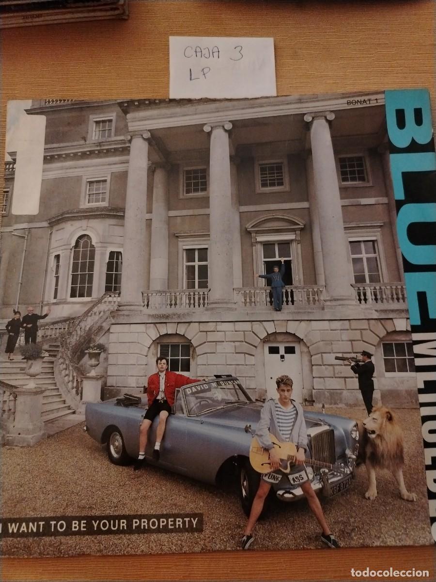 Discos de vinilo: Disco Vinilo LP blue Mercedes, I want to be your property