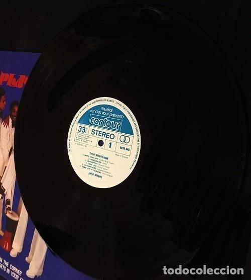 Discos de vinilo: [LP VINILO]. THE PLATTERS. THE PLATTERS NOW. - Foto 2