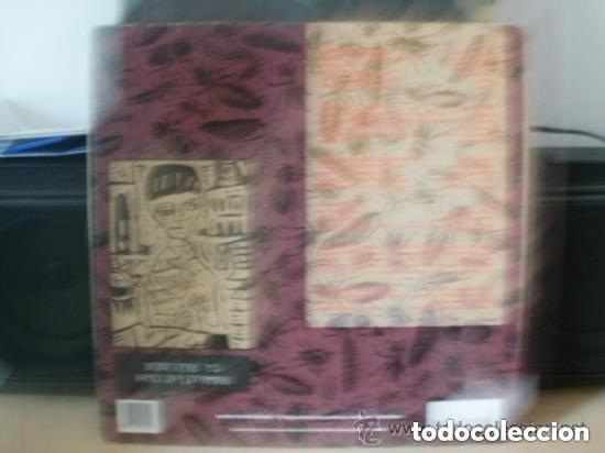 Discos de vinilo: PENELOPE HOUSTON - Birdboys - Foto 2