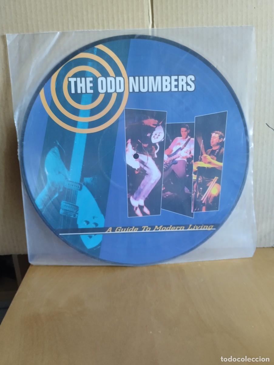 Discos de vinilo: THE ODD NUMBERS ---- A GUIDE TO MODERN LIVING