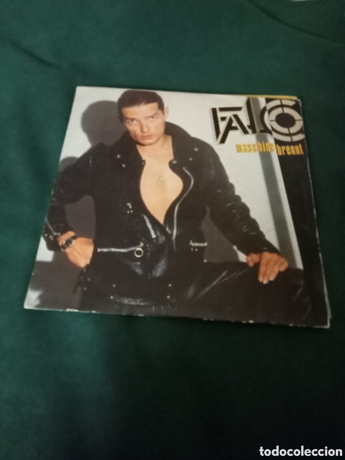 Discos de vinilo: Falco maschine brennt