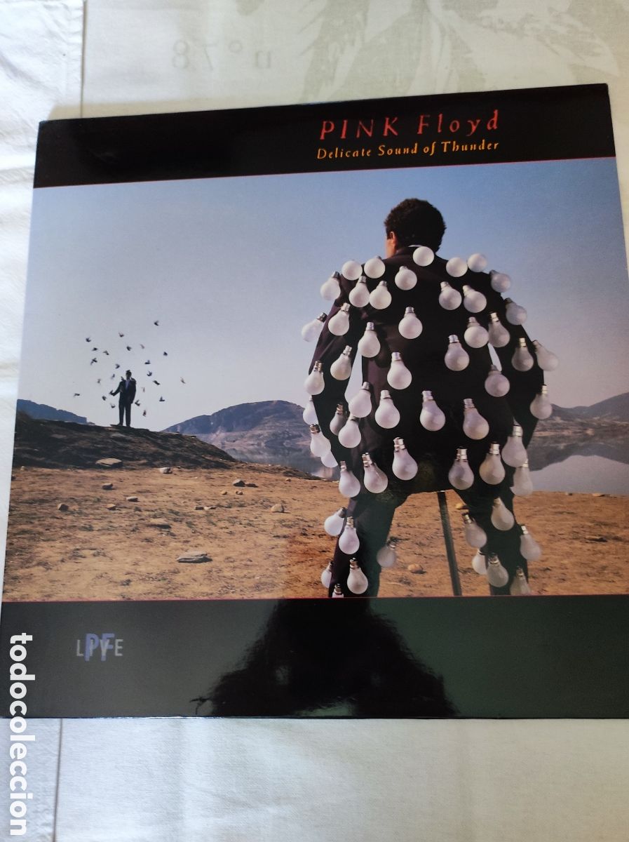 Discos de vinilo: PINK FLOYD - DELICATE SOUND OF THUNDER