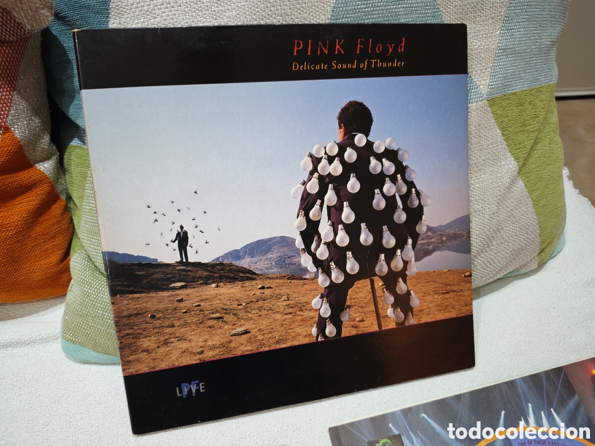 Discos de vinilo: Edici&oacute;n en Doble vinilos del &aacute;lbum Delicate Sound of Thunder de Pink Floyd. Edici&oacute;n original Espa&ntilde;a