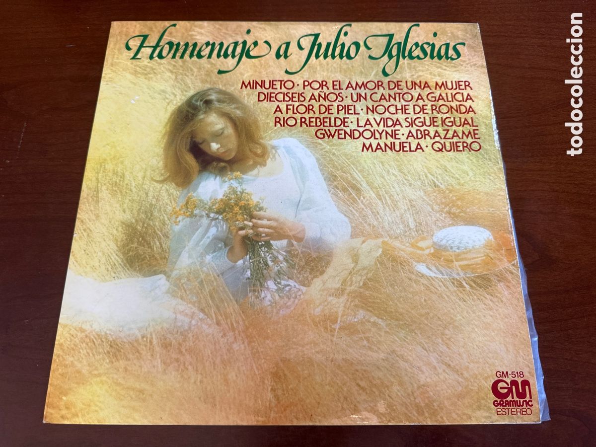 Discos de vinilo: LP - HOMENAJE A JULIO IGLESIAS / GM GRAMUSIC