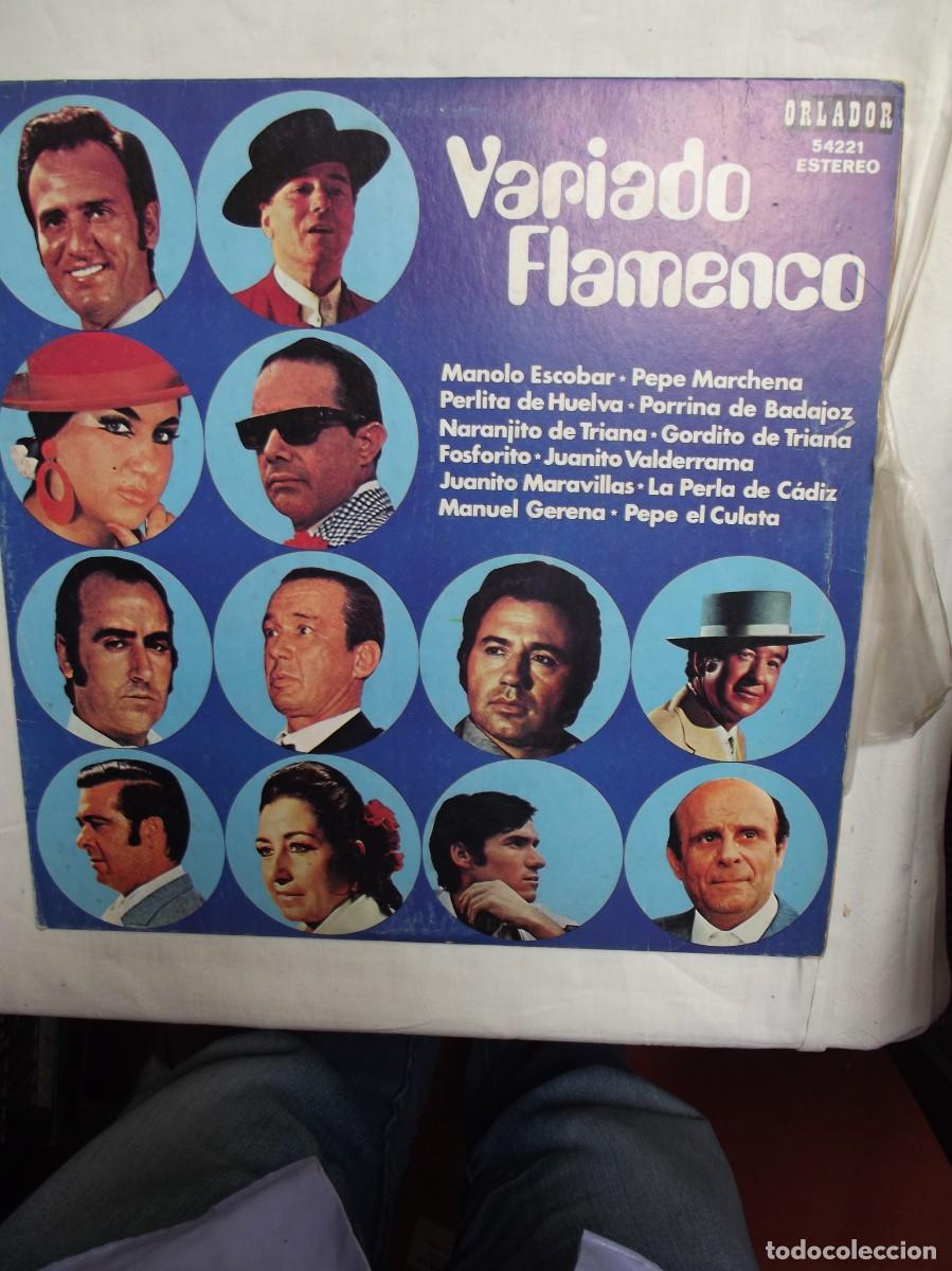 Discos de vinilo: LP VARIADO FLAMENCO ( SIN PROBAR )