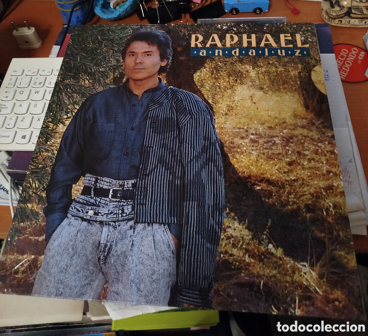 Discos de vinilo: Raphael - Andaluz. Contiene encarte