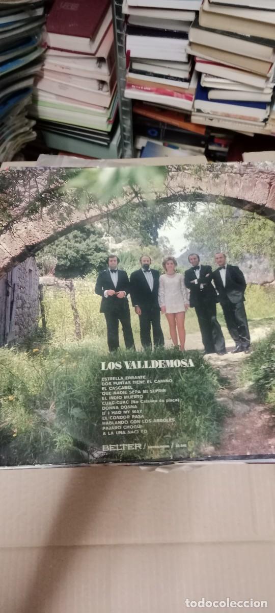 Discos de vinilo: LOS VALLDEMOSA - ESTRELLA ERRANTE DISCO VINILO 12 PULGADAS GG-12D