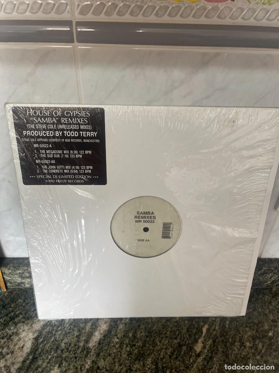 Discos de vinilo: House Of Gypsies Samba Remixes (The Steve Cole Unreleased Mixes)