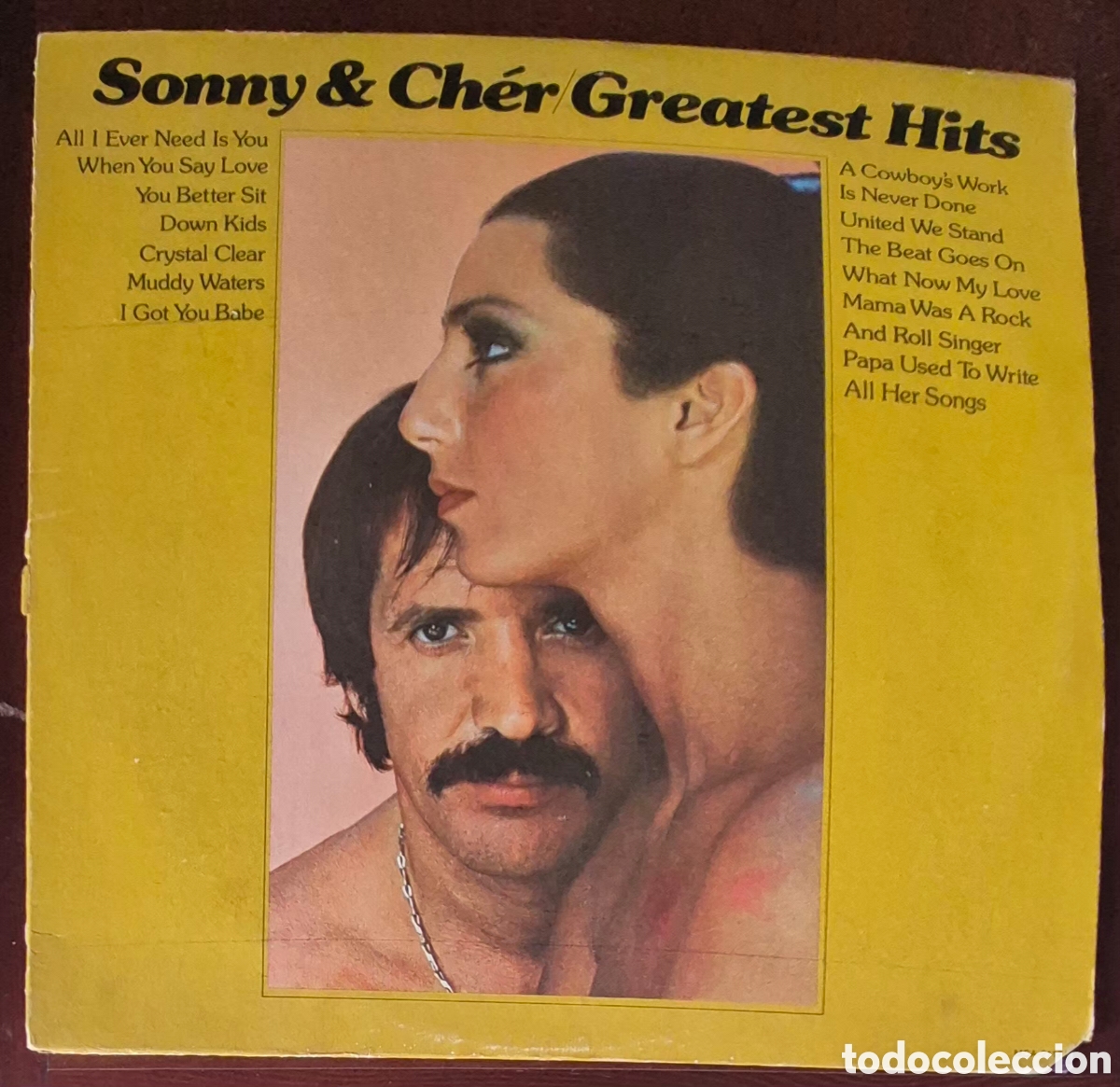 Discos de vinilo: LP - SONNY & CH&Eacute;R - GREATEST HITS - 1974 USA (PINCKNEYVILLE PRESSING)