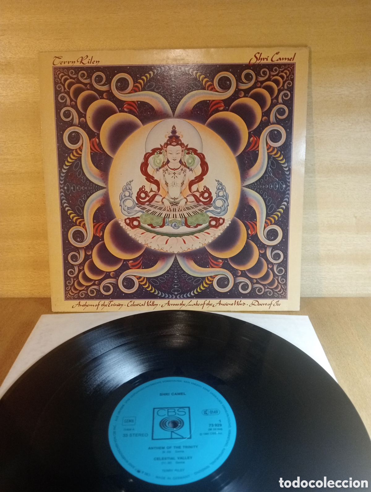 Discos de vinilo: Terry Riley. Shri Camel.