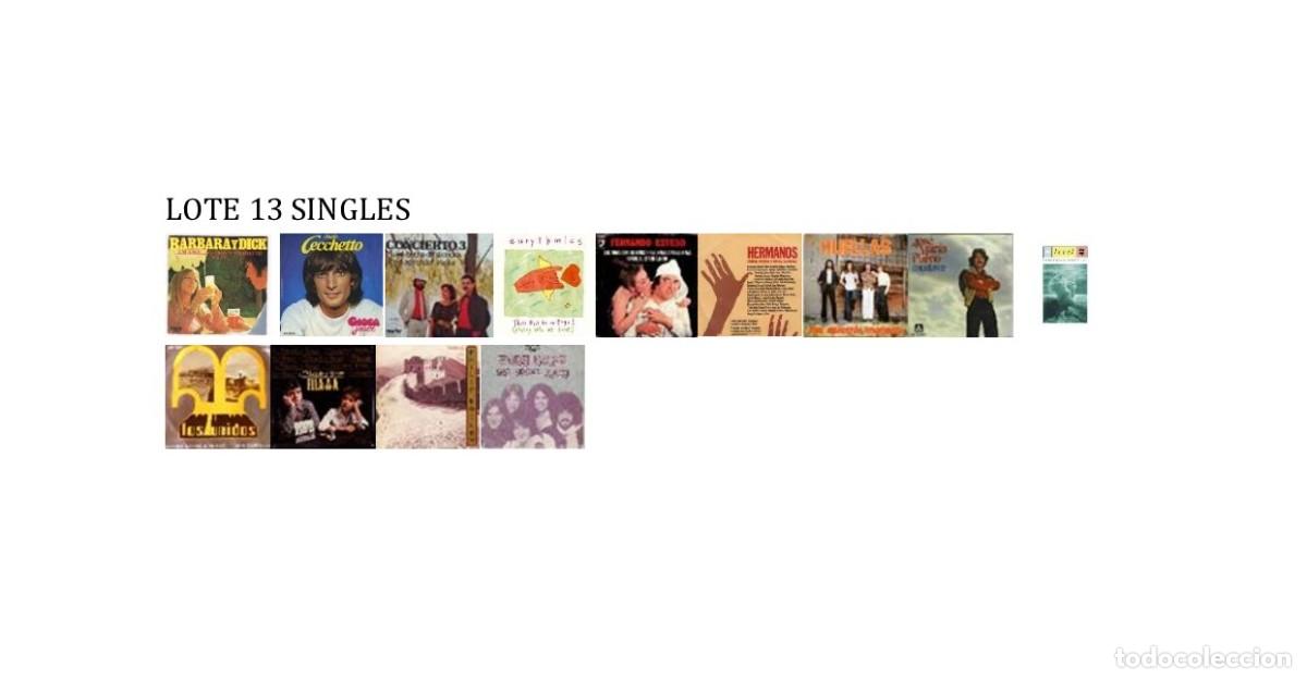 Discos de vinilo: LOTE de 13 SINGLES varios estilos