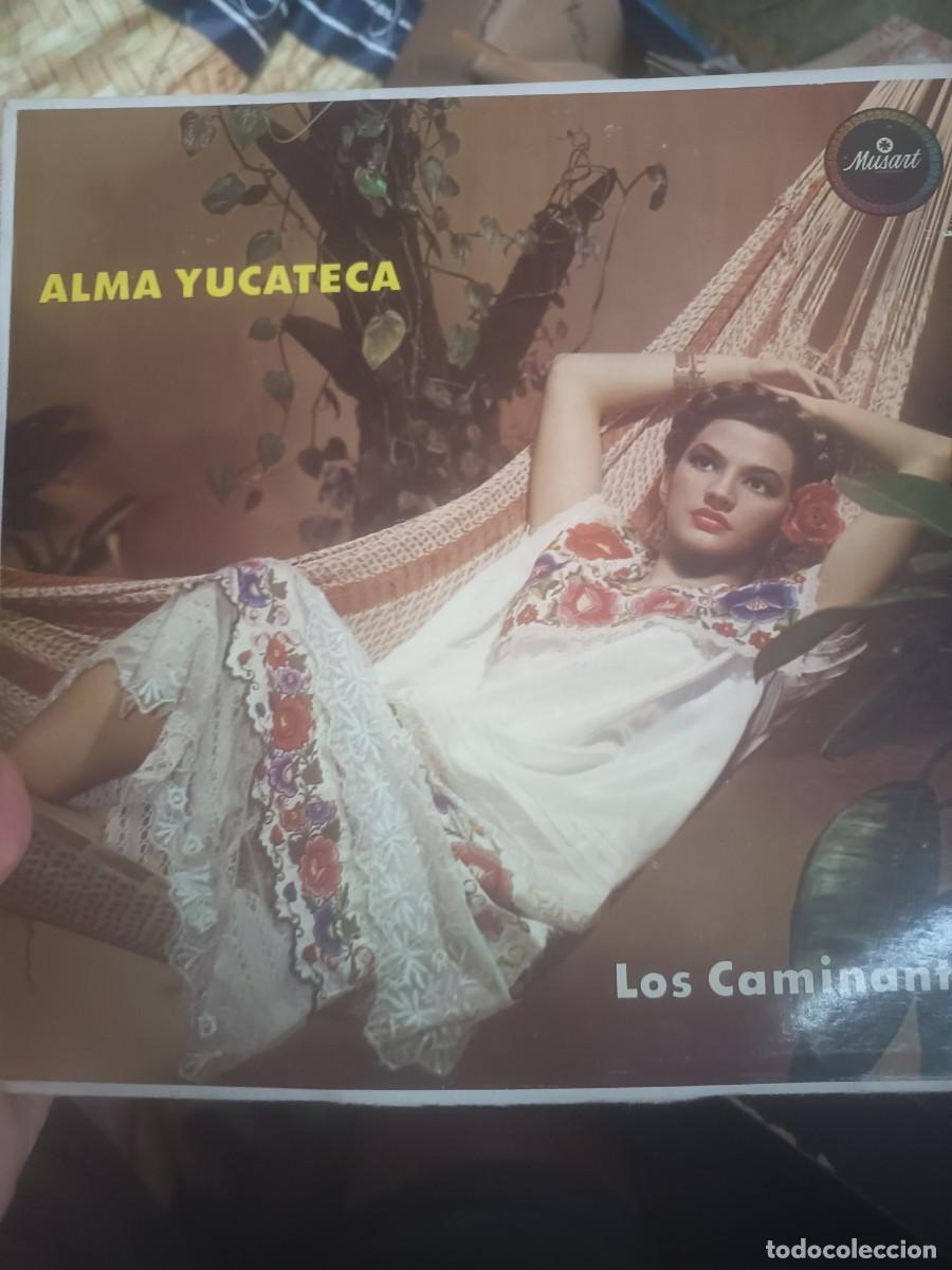 Discos de vinilo: LP, LOS CAMINANTES,( ALMA YUCATECA)