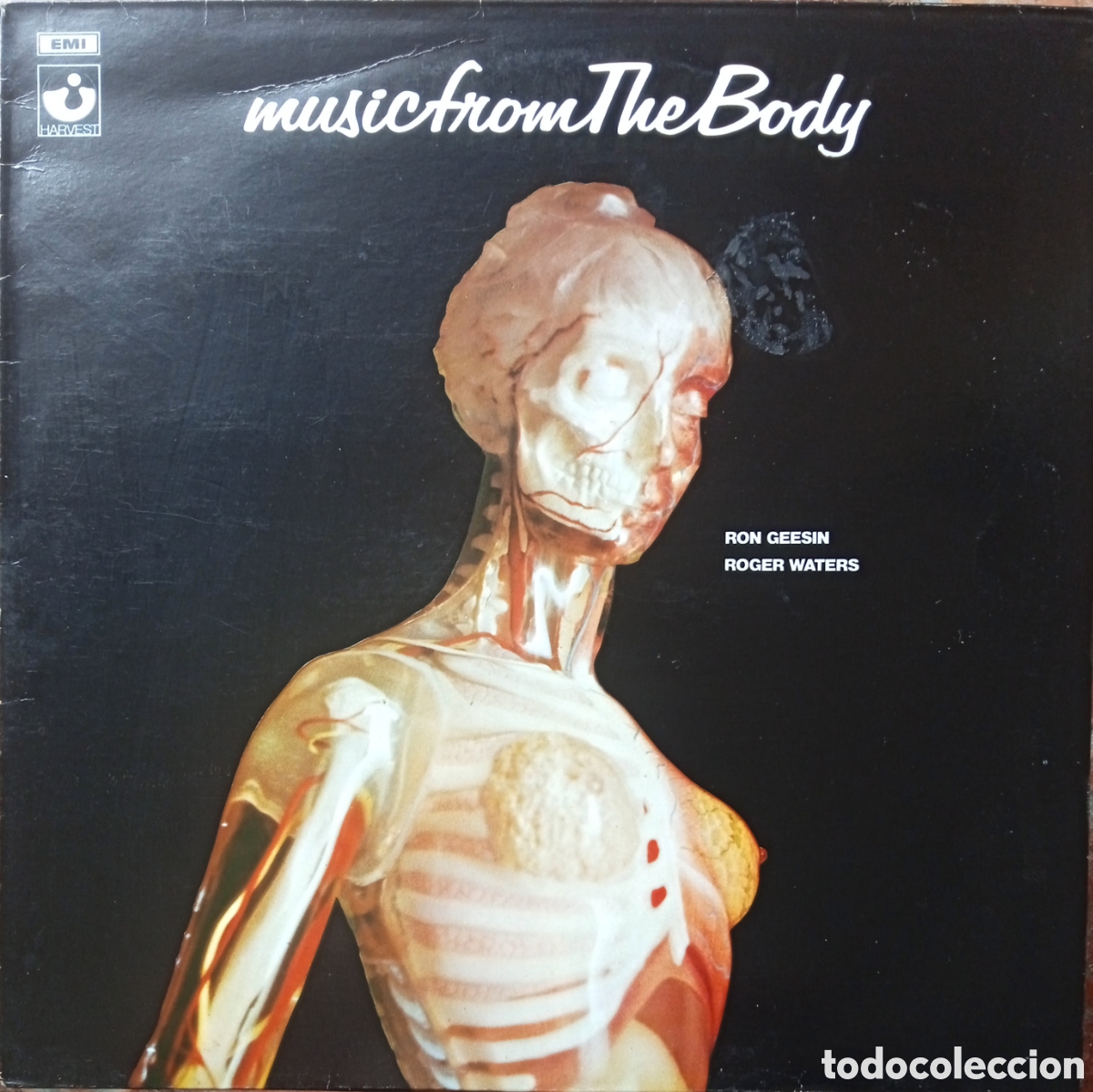 Discos de vinilo: Disco de vinilo Ron Geesin & Roger Waters