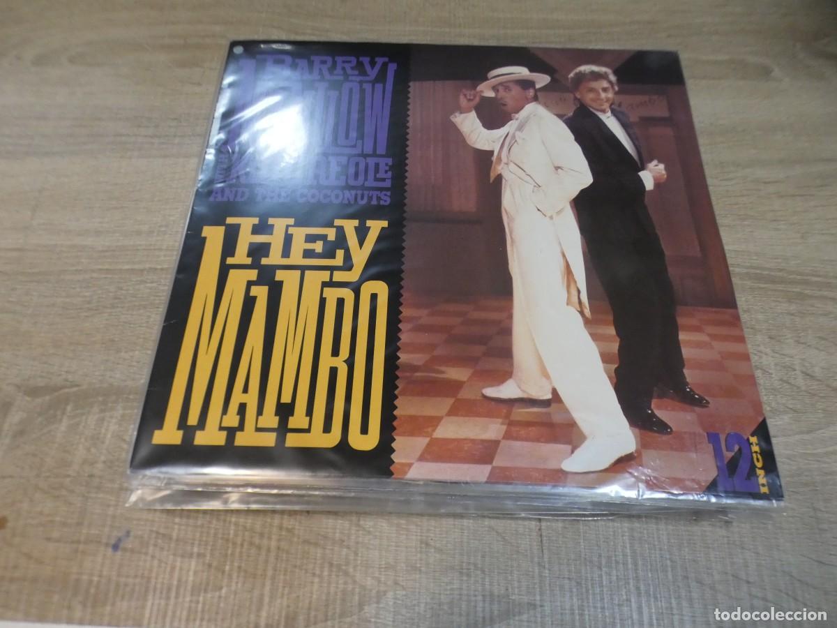 Discos de vinilo: ARKANSAS1980 LOTT765 VINILO MAXI LEVE USO AUN CORRECTO - BARRY MANLOW