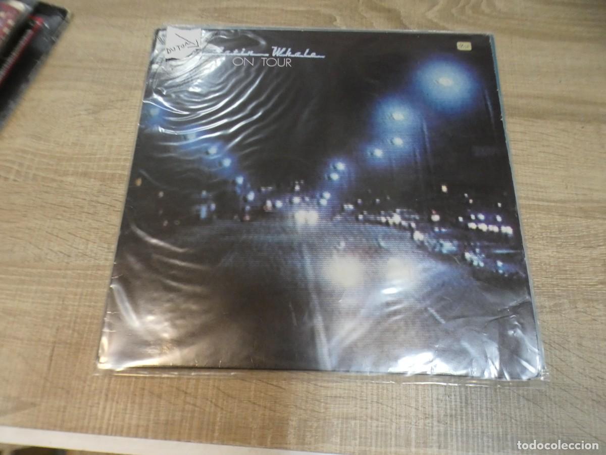 Discos de vinilo: ARKANSAS1980 LOTT769 VINILO LEVE USO AUN CORRECTO - Satin Whale