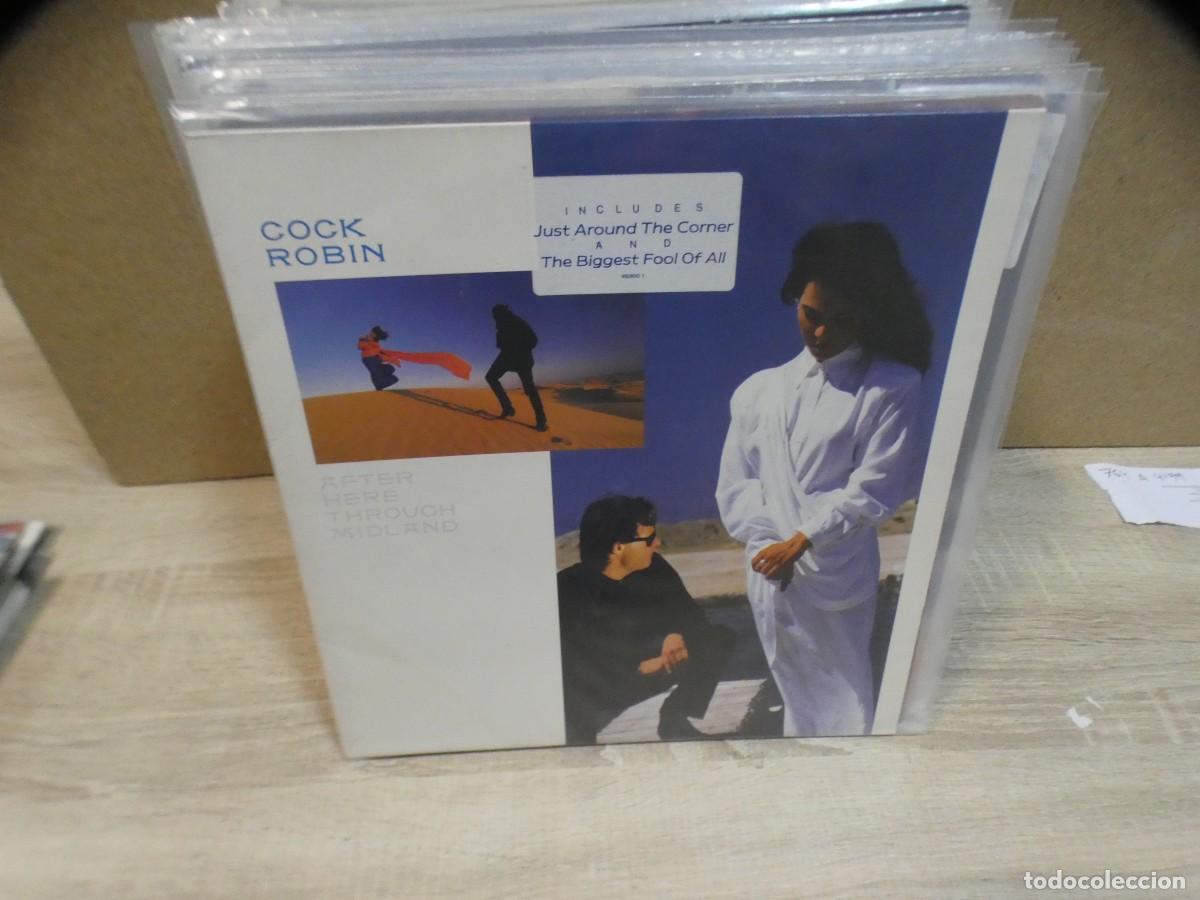 Discos de vinilo: ARKANSAS1980 LOTT764 VINILO ESTADO CORRECTISIMO - COCK ROBIN