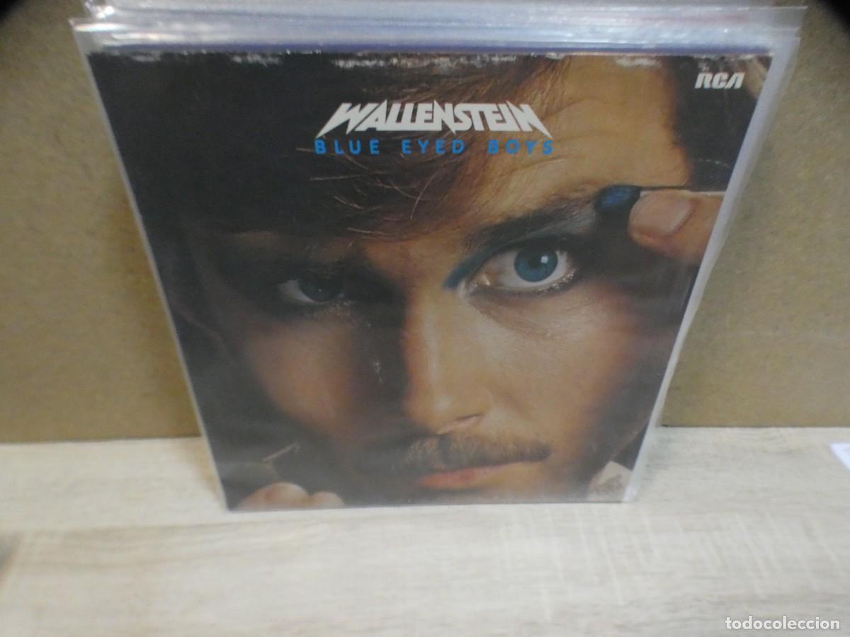 Discos de vinilo: ARKANSAS1980 LOTT764 VINILO ESTADO CORRECTISIMO - WALLENSTEIN