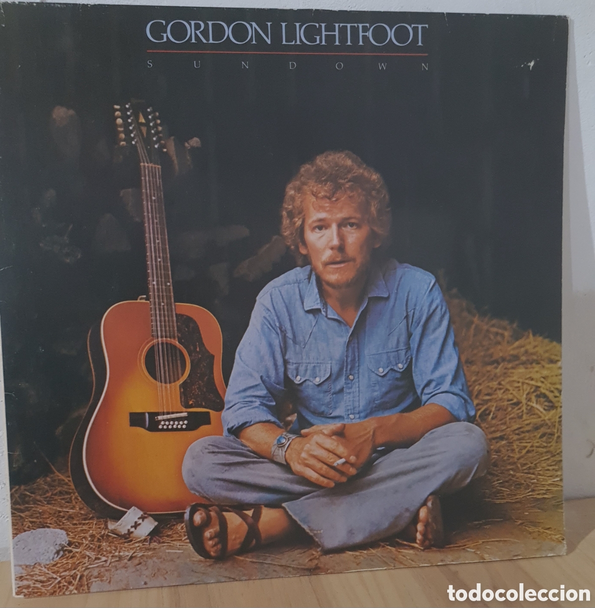 Discos de vinilo: GORDON LIGHFOOT * SUNDOWN