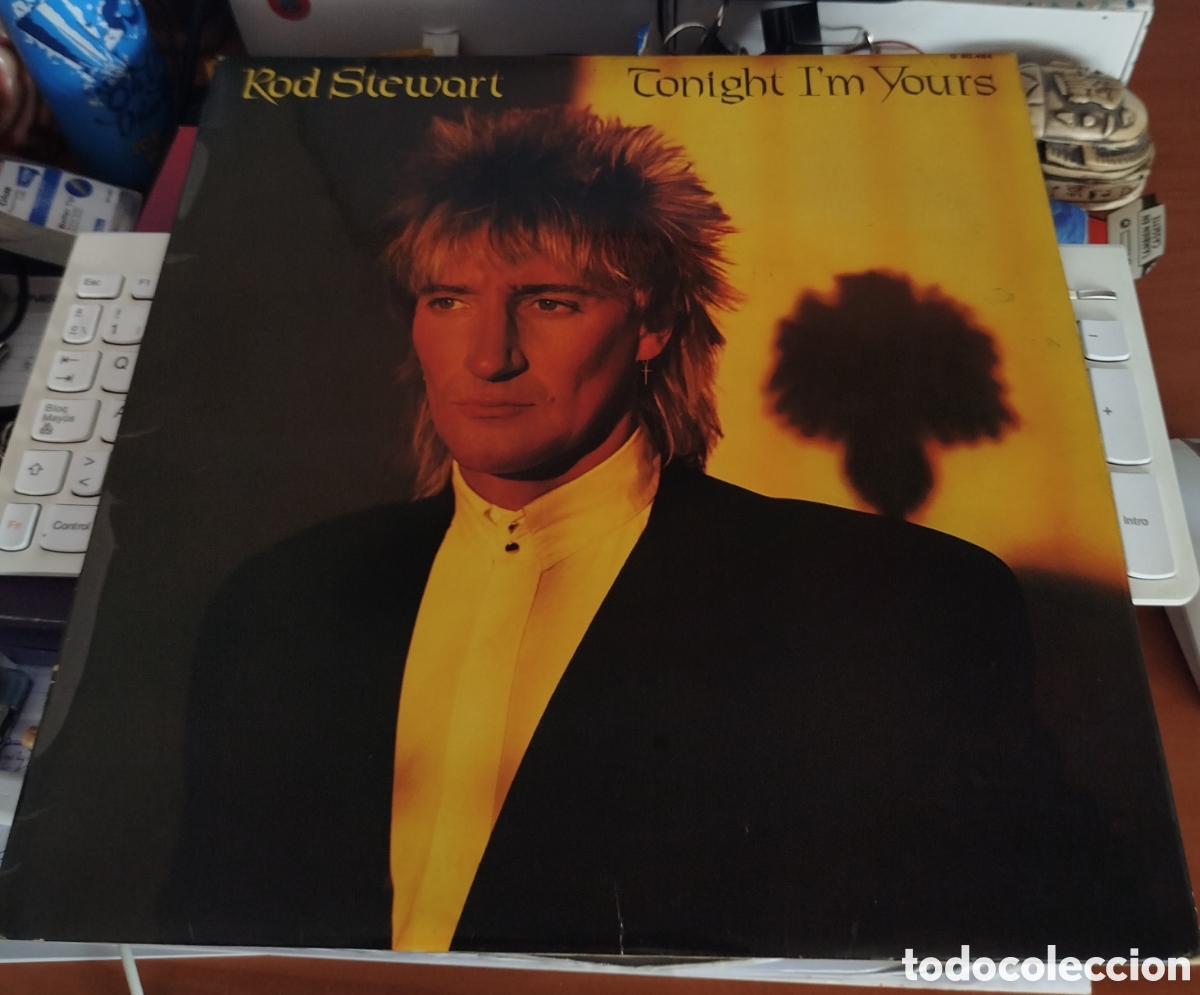 Discos de vinilo: Rod Stewart - Tonight I&acute;m Yours