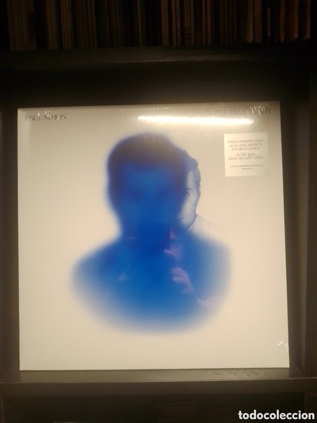 Discos de vinilo: Paul Simon &ndash; In The Blue Light (Sony Legacy, 2018) - Vinilo 180 gramos - Pop Folk Jazz - Precintado